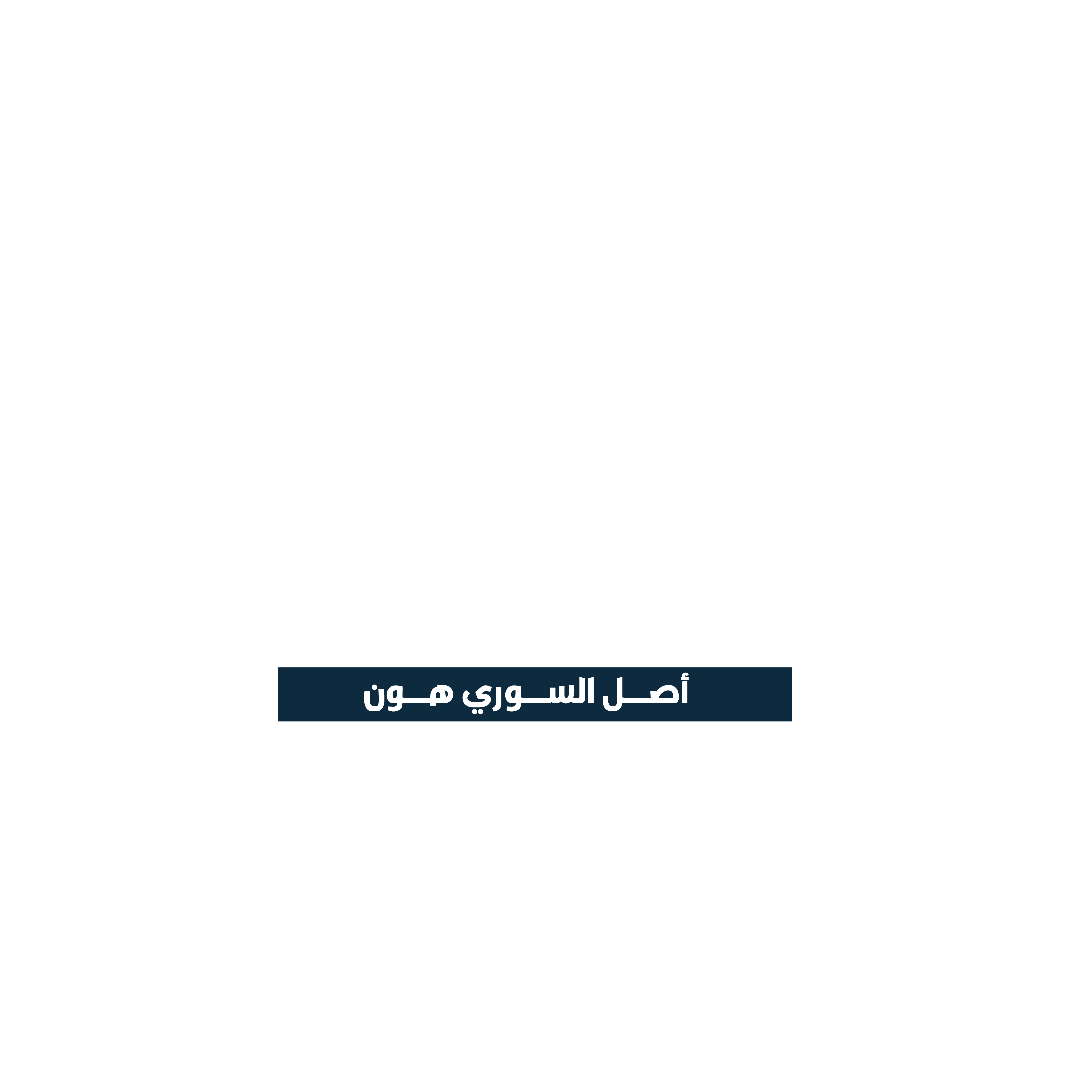 خلدون السوري